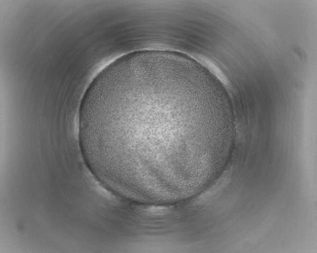 X0000115600839200911241553