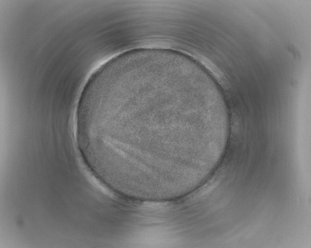 X0000115600840200911241553