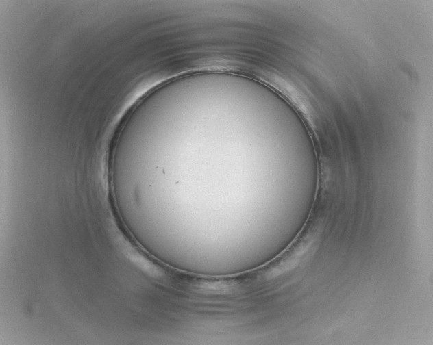 X0000115600843200911241553