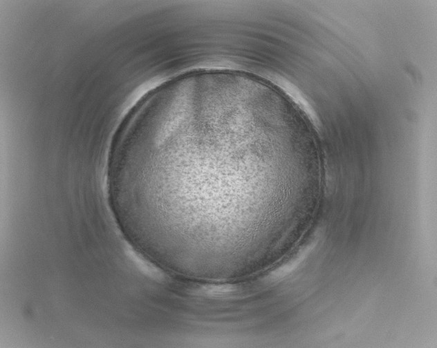 X0000115600845200911241553