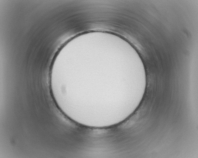 X0000115600848200911241553