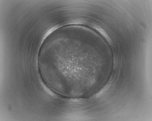 X0000115600850200911241553