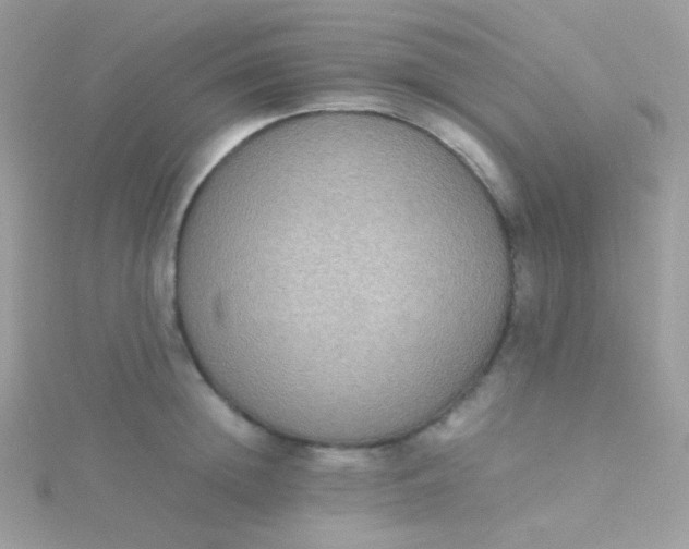 X0000115600852200911241553