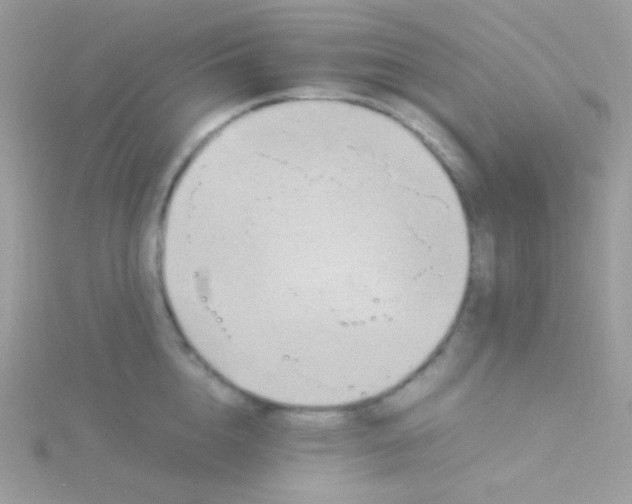 X0000115600856200911241553