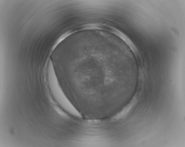 X0000115600858200911241553