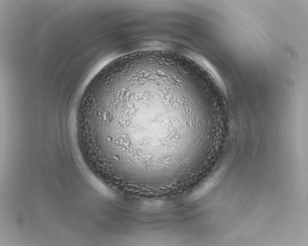 X0000115600859200911241553