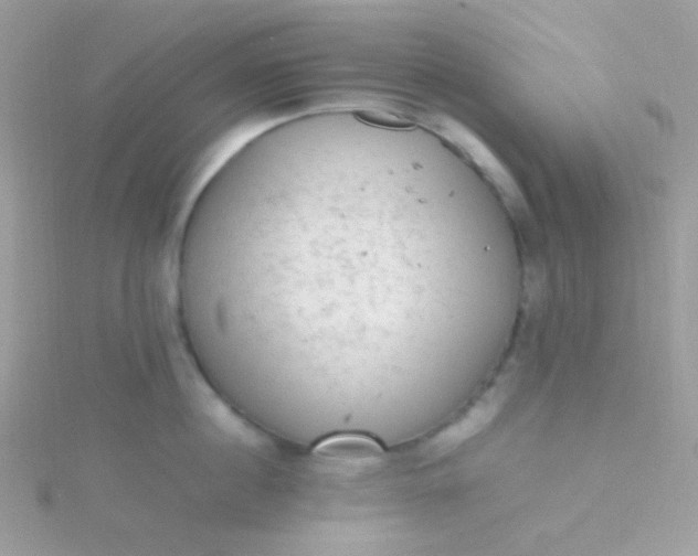 X0000115600860200911241553