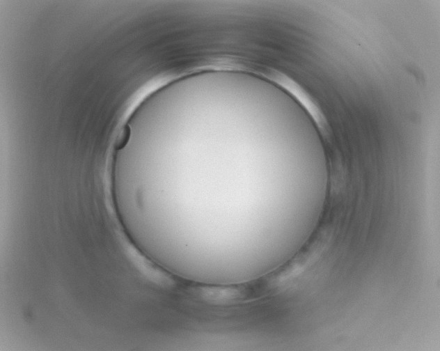 X0000115600861200911241553