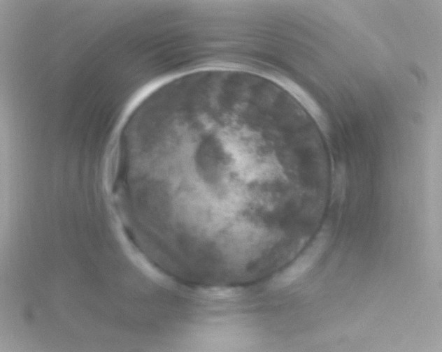 X0000115600862200911241553