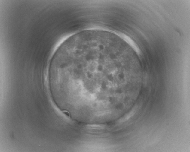 X0000115600863200911241553