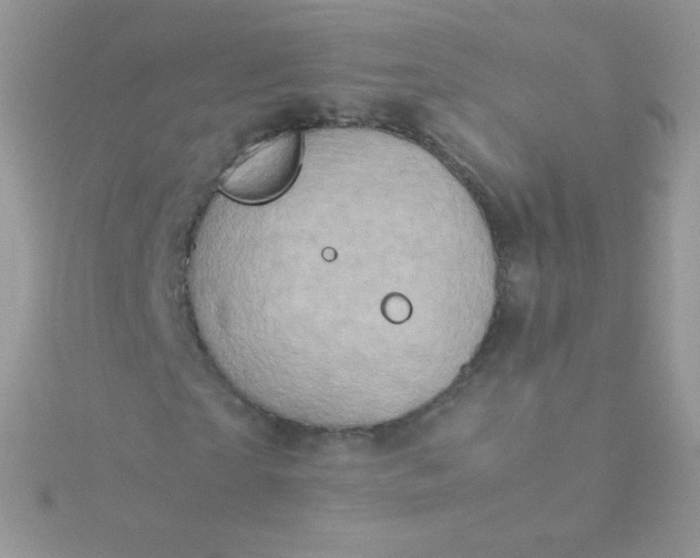 X0000115600865200911241553