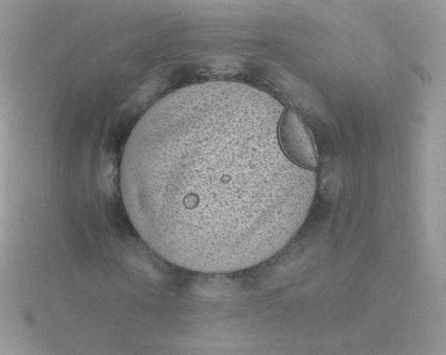 X0000115600866200911241553