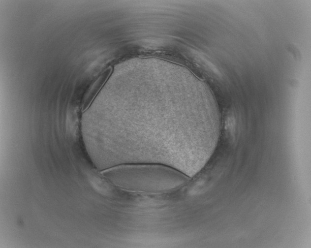 X0000115600868200911241553