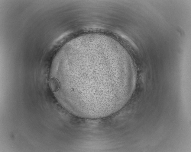 X0000115600870200911241553