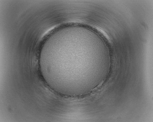 X0000115600872200911241553