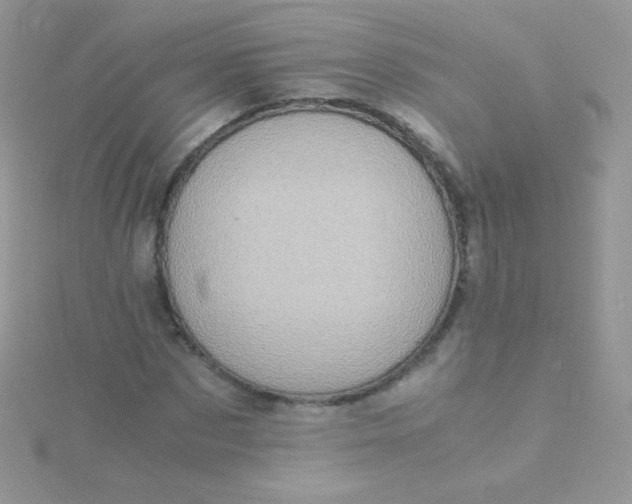 X0000115600873200911241553