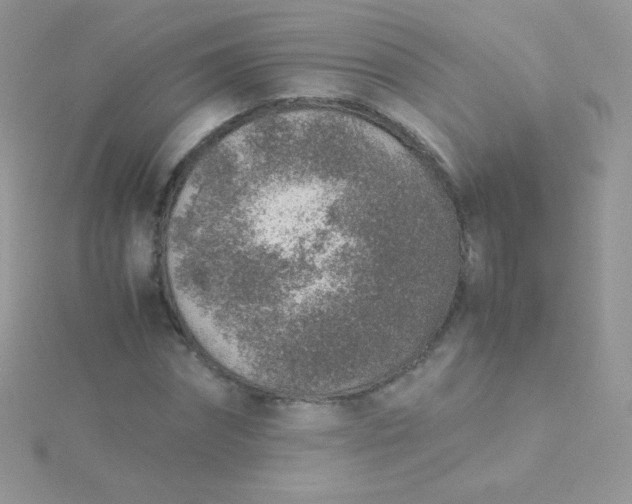 X0000115600874200911241553