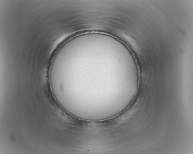 X0000115600875200911241553