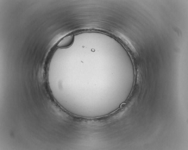 X0000115600876200911241553