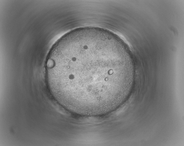 X0000115600879200911241553