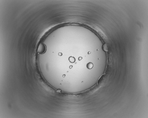 X0000115600880200911241553