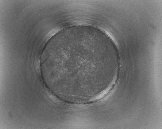 X0000115600881200911241553