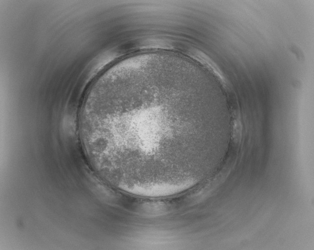 X0000115600882200911241553