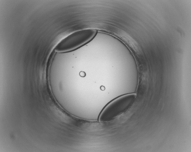 X0000115600884200911241553