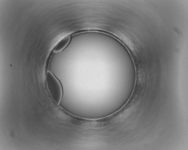 X0000115600885200911241553