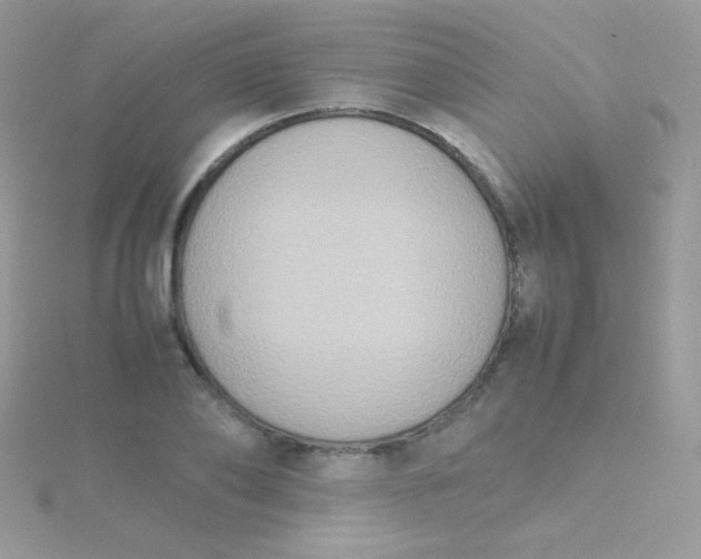 X0000115600886200911241553