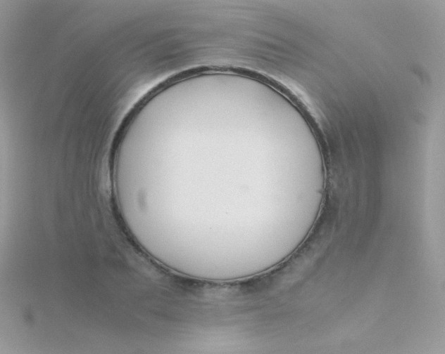 X0000115600887200911241553