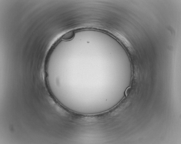 X0000115600888200911241553