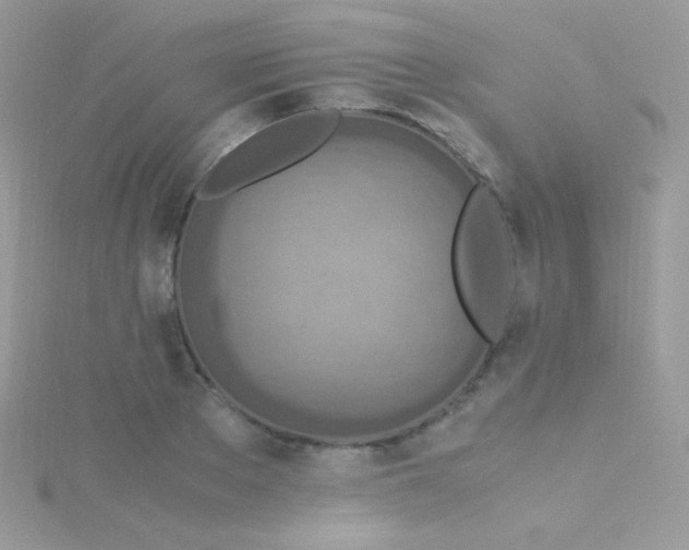 X0000115600889200911241553