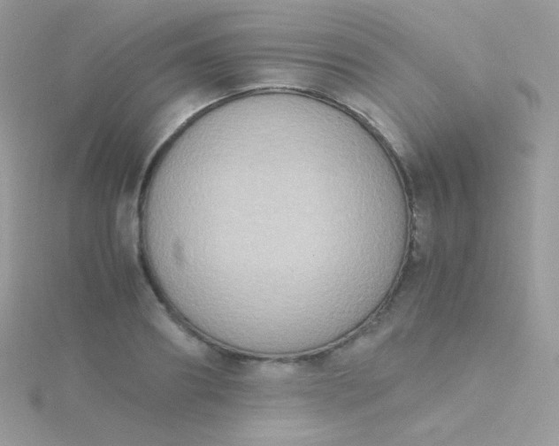 X0000115600890200911241553