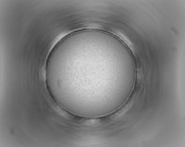 X0000115600891200911241553