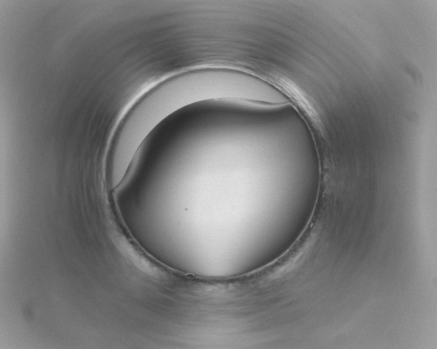 X0000115600892200911241553