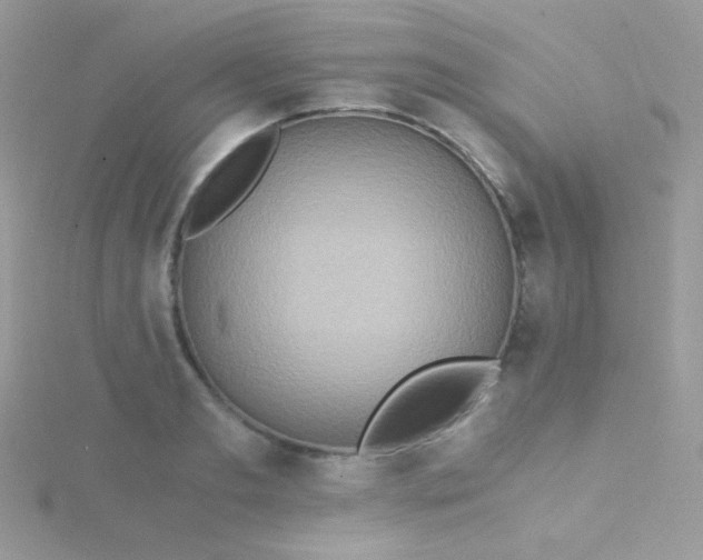 X0000115600893200911241553