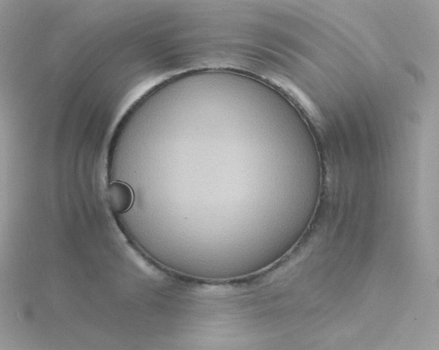 X0000115600894200911241552