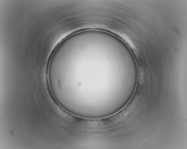 X0000115600895200911241552