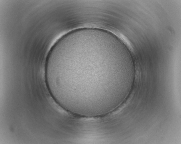 X0000115600896200911241552