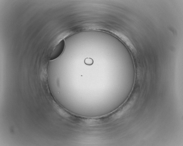 X0000115600897200911241552