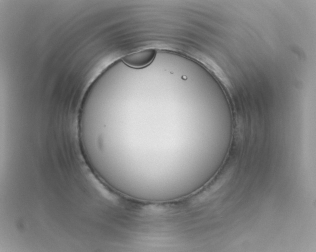 X0000115600898200911241552