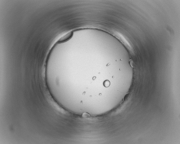 X0000115600900200911241552