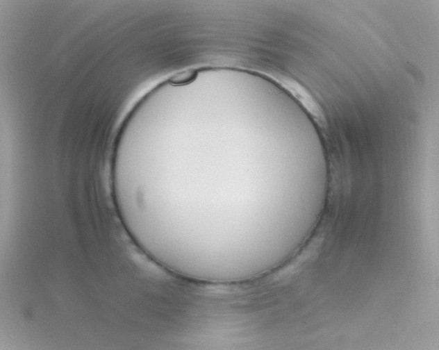 X0000115600904200911241552