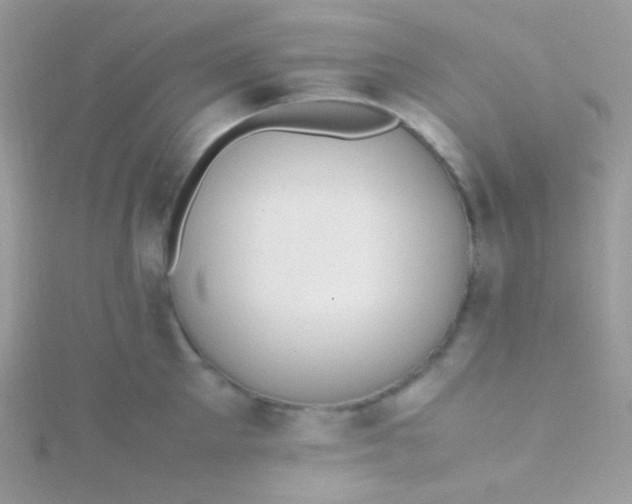 X0000115600905200911241552