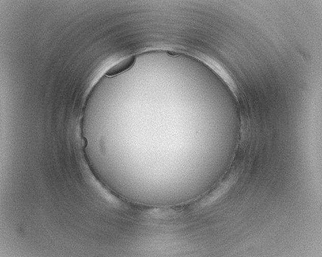 X0000115600906200911241552