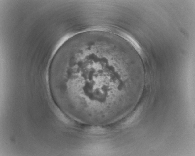 X0000115600907200911241552