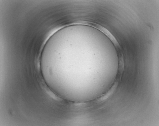 X0000115600908200911241552