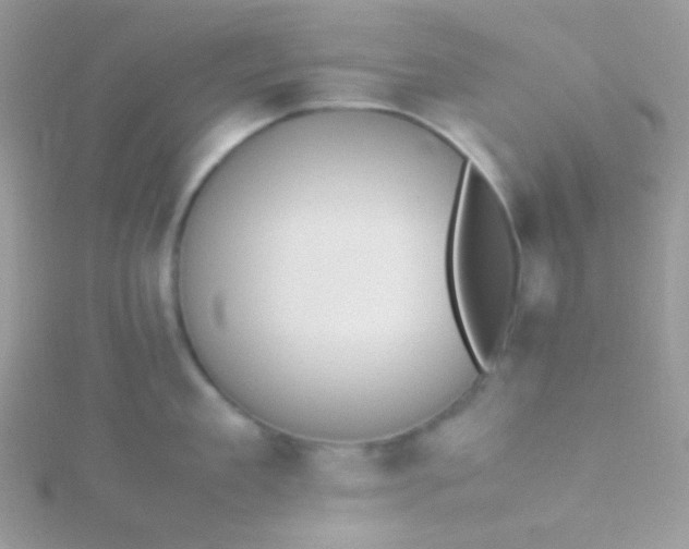 X0000115600909200911241552