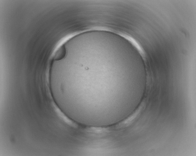 X0000115600910200911241552